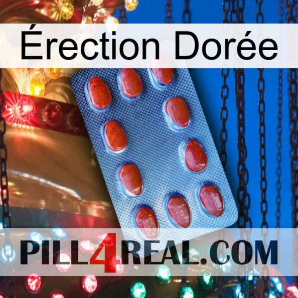 Érection Dorée 06
